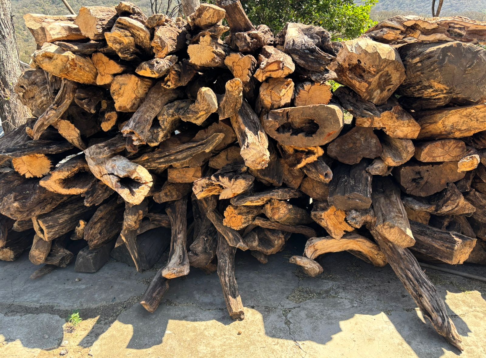 palo santo1