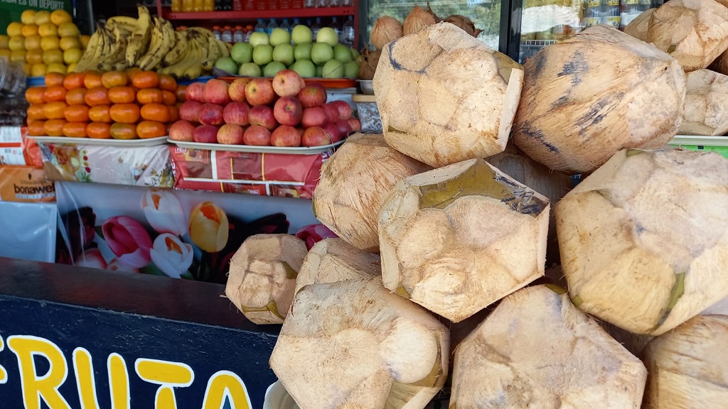 El coco, una de las frutas que dan identidad a la provincia